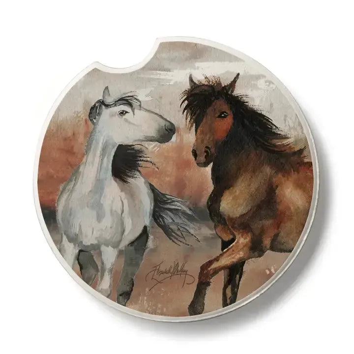 Absorbent Stone Car Coaster