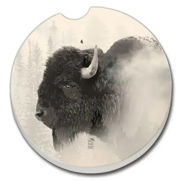 Absorbent Stone Car Coaster