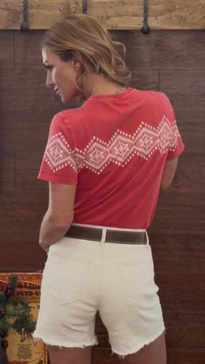 Panhandle slim border print jersey tee with distress wash