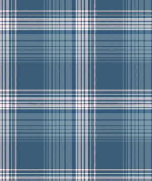 Blue and white plaid pattern
