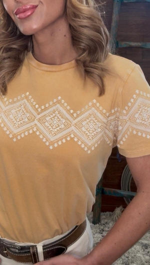 Panhandle slim border print jersey tee with distress wash