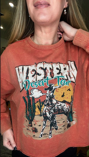 Western Cactus Graphic Pullover