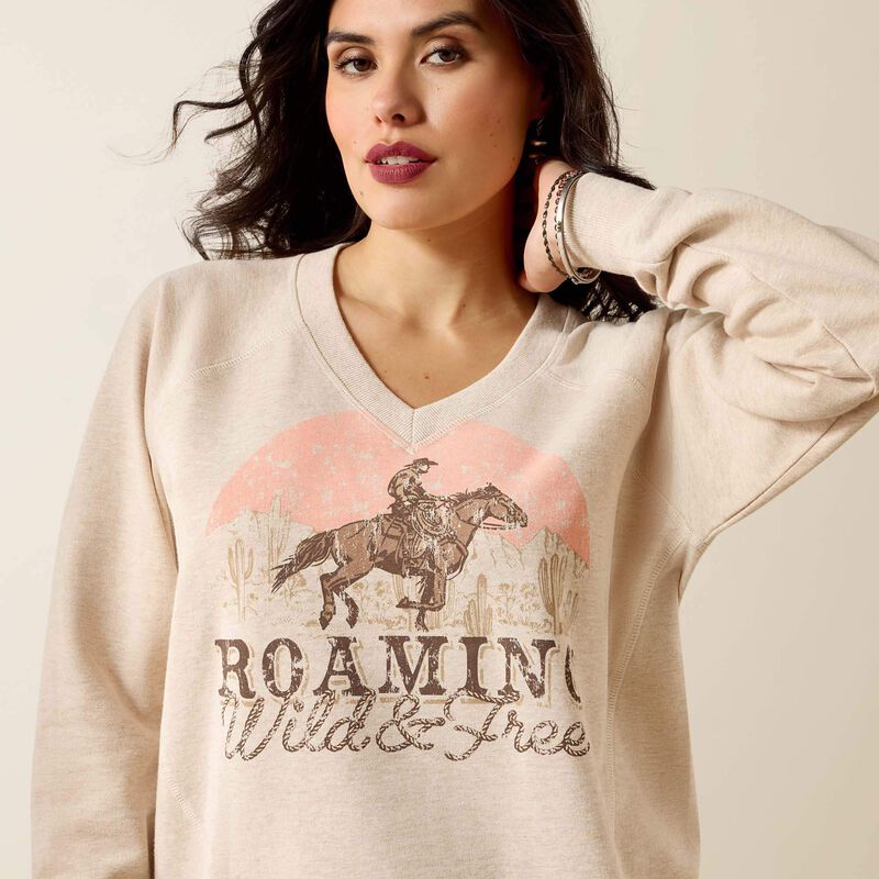 Long sleeve graphic v neck sweatshirt